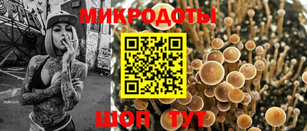 Галлюциногенные грибы прущие грибы  Вход с VPN  Кропоткин 