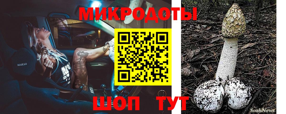 Псилоцибиновые грибы мицелий Кропоткин